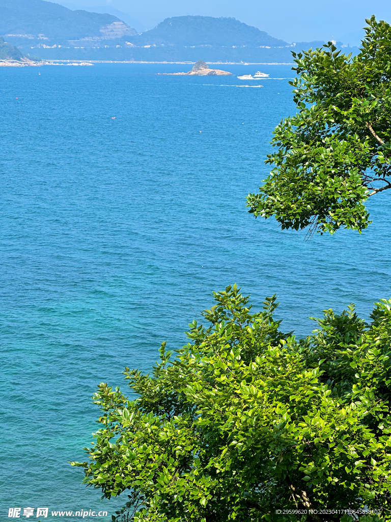 大海
