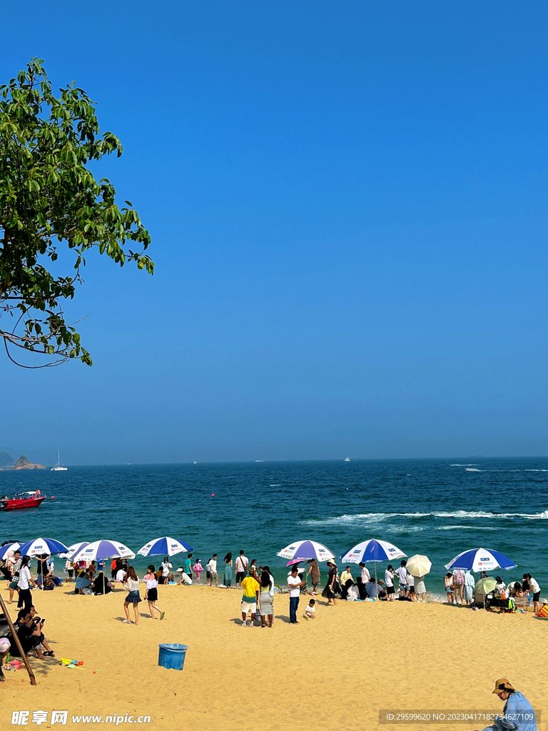 大海沙滩