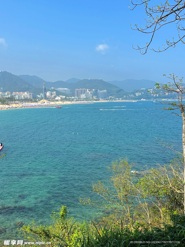 大海