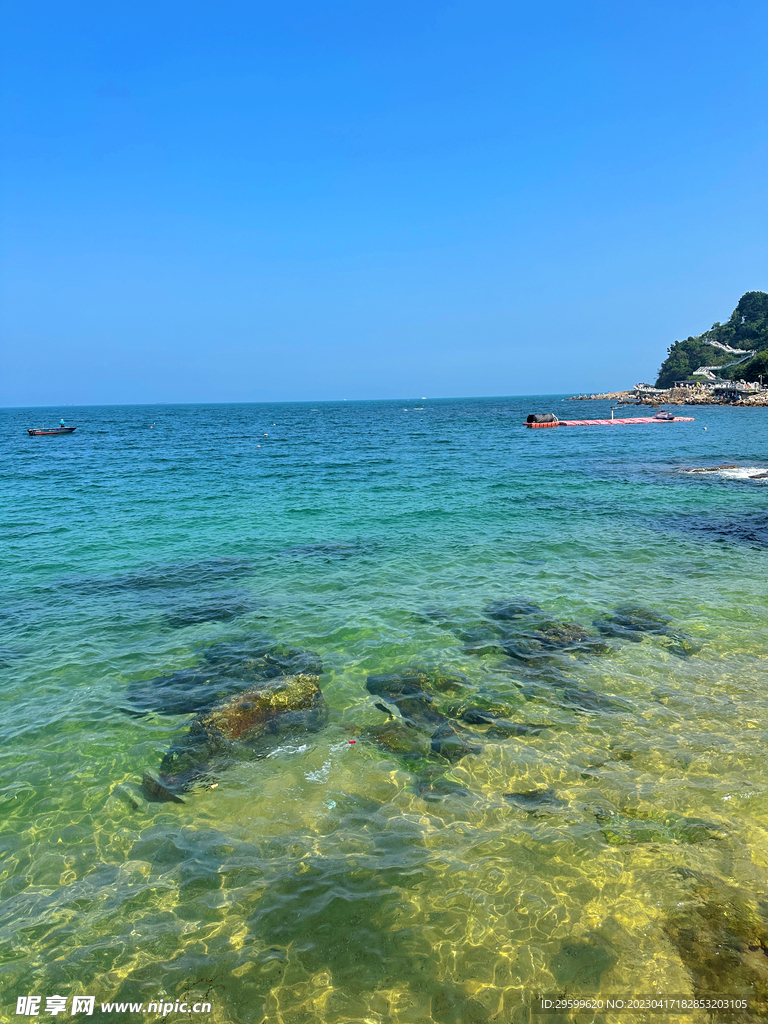 大海