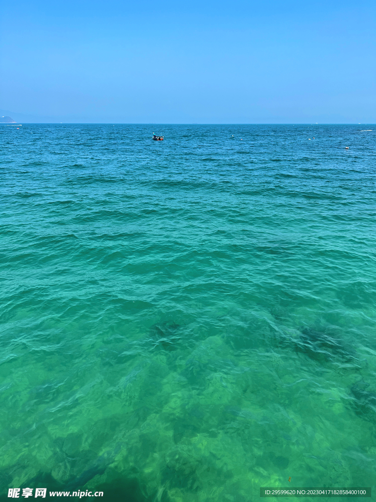 大海