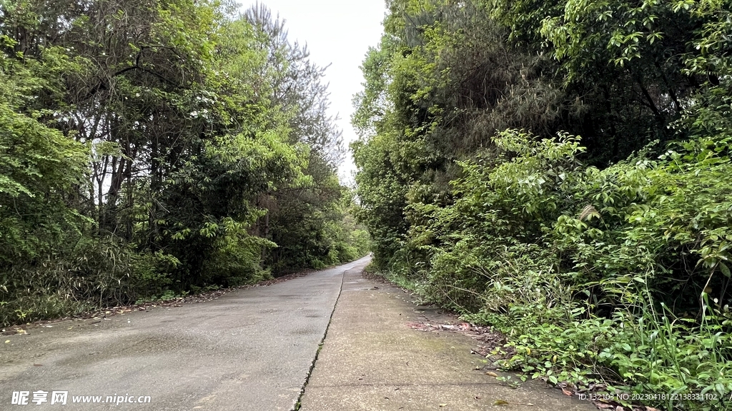 乡间小路