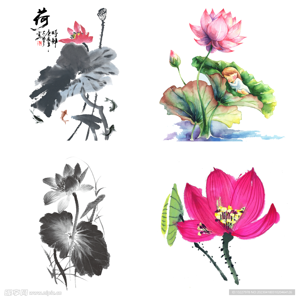 水墨荷花