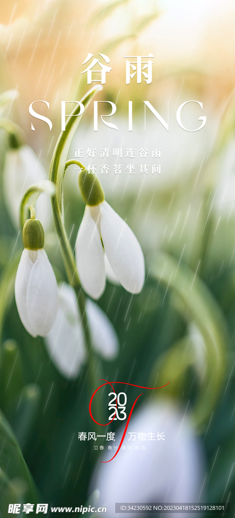 谷雨