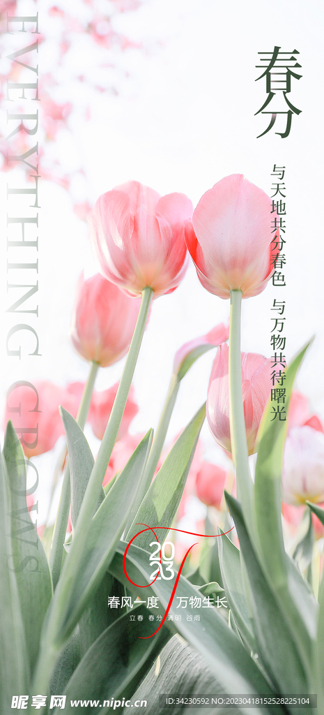 春分