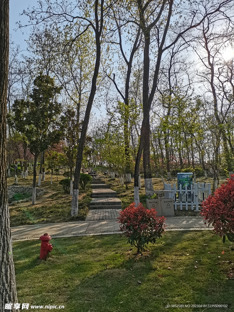 公园小路