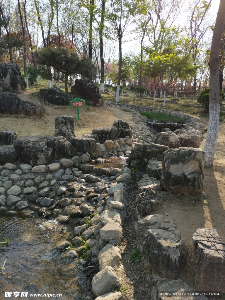 公园风景