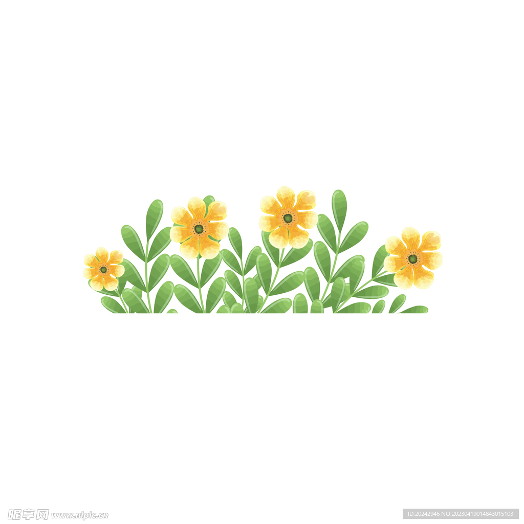 花丛边框  