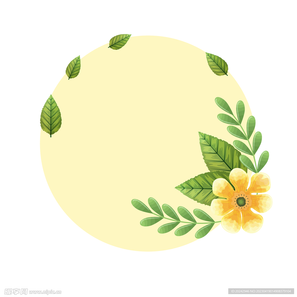 花朵边框 