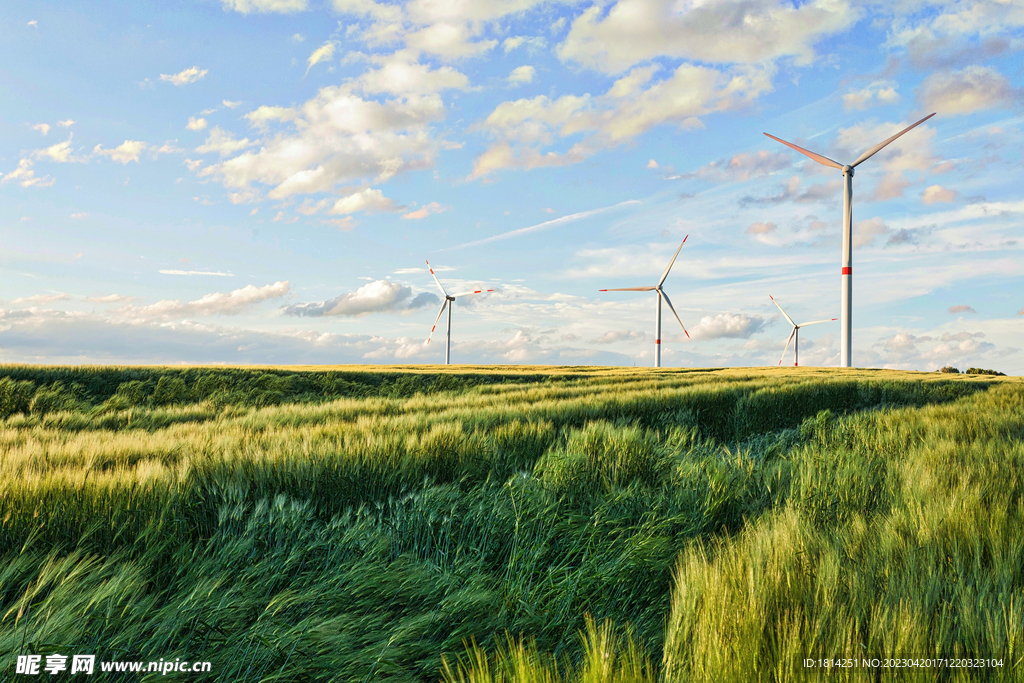 草地风车天空