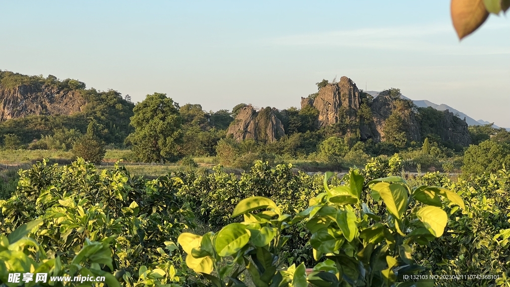 乡村小景