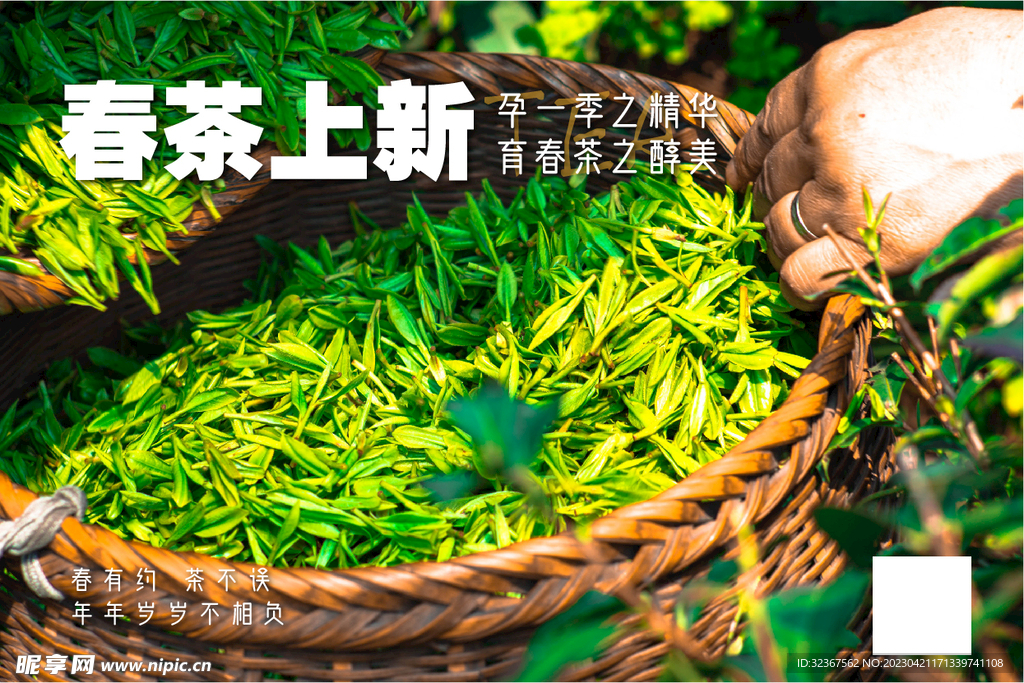 茶叶
