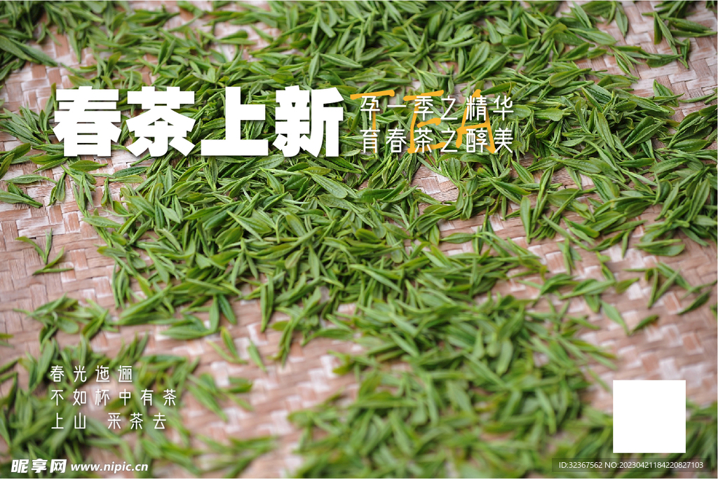 春茶