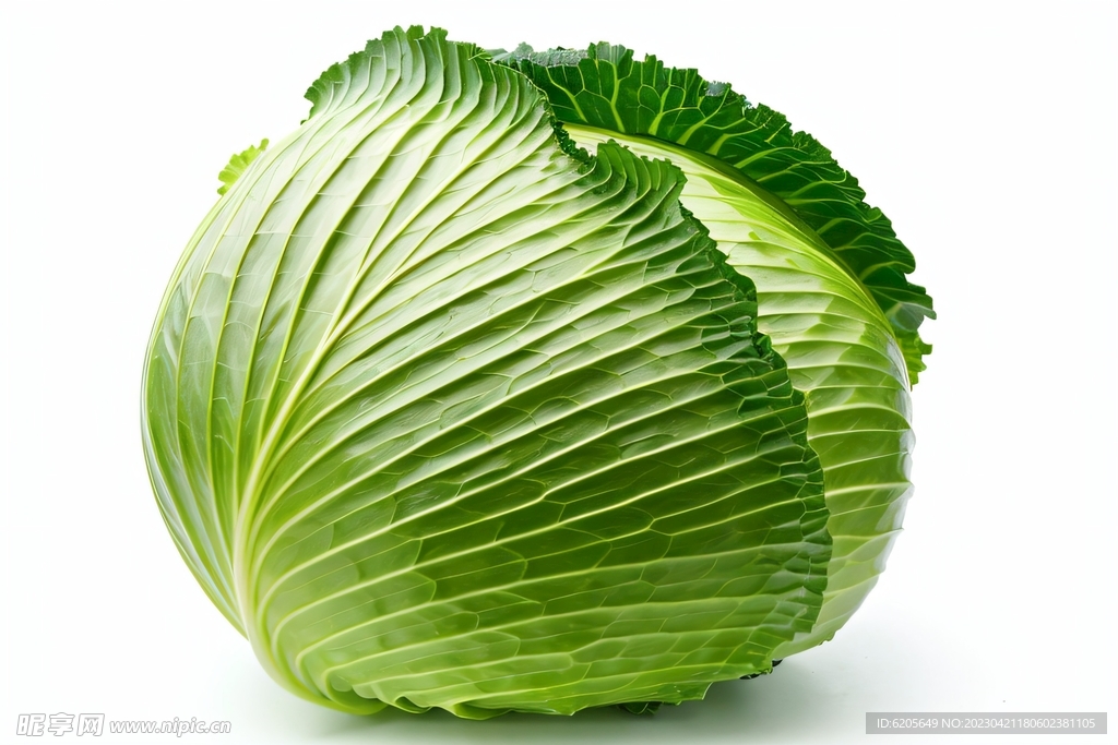 包菜卷心菜蔬菜