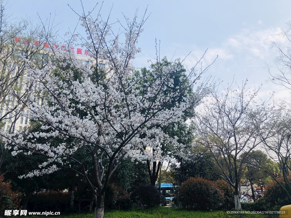 太子湾公园 