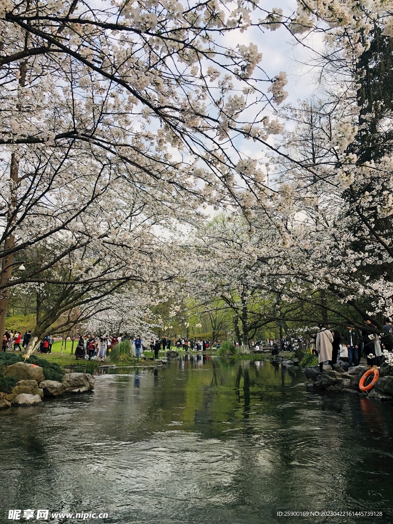 太子湾公园