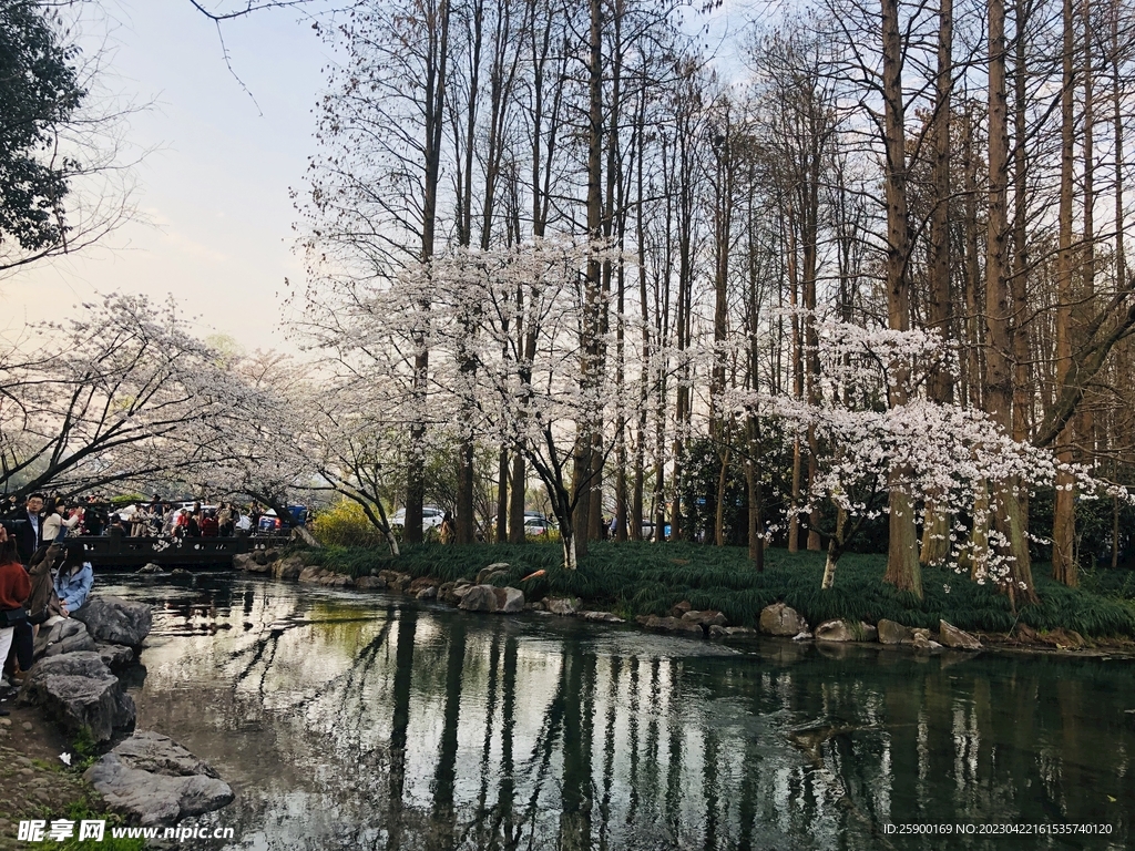 太子湾公园