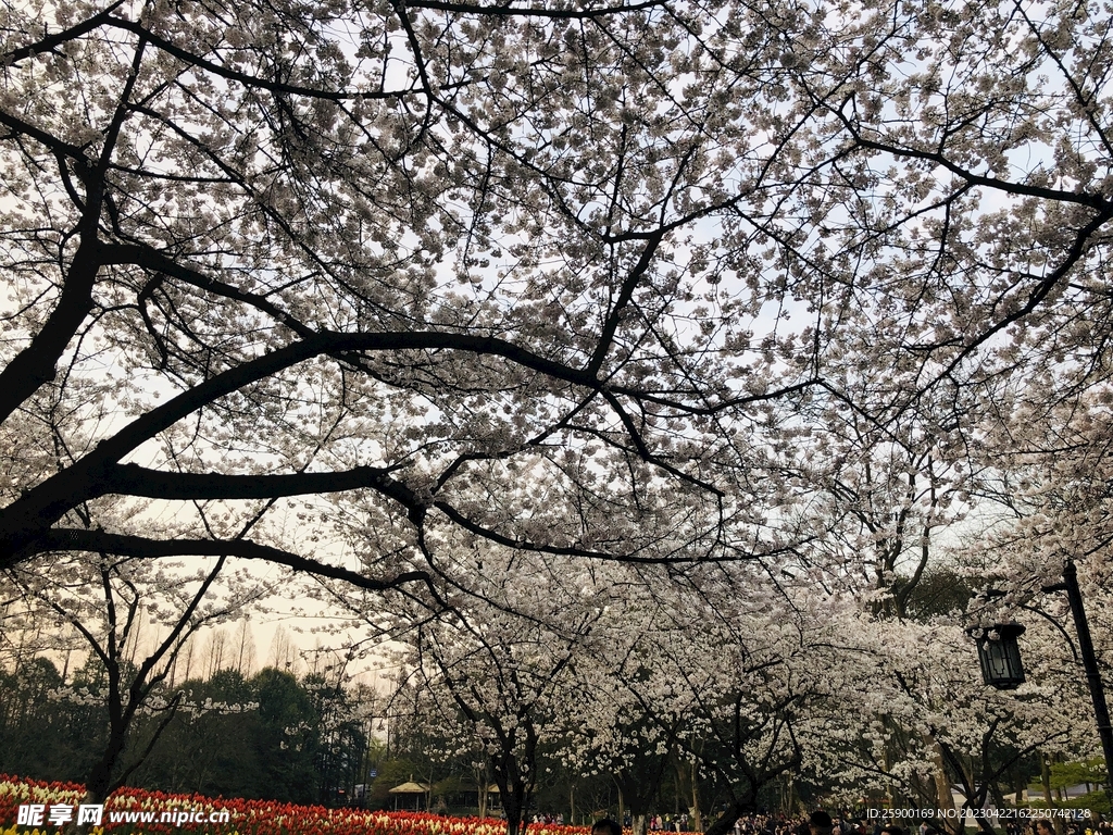 太子湾公园