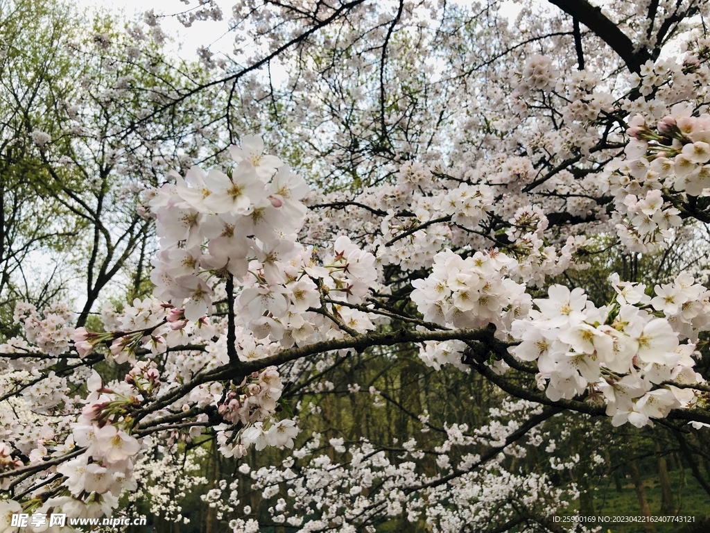 太子湾公园