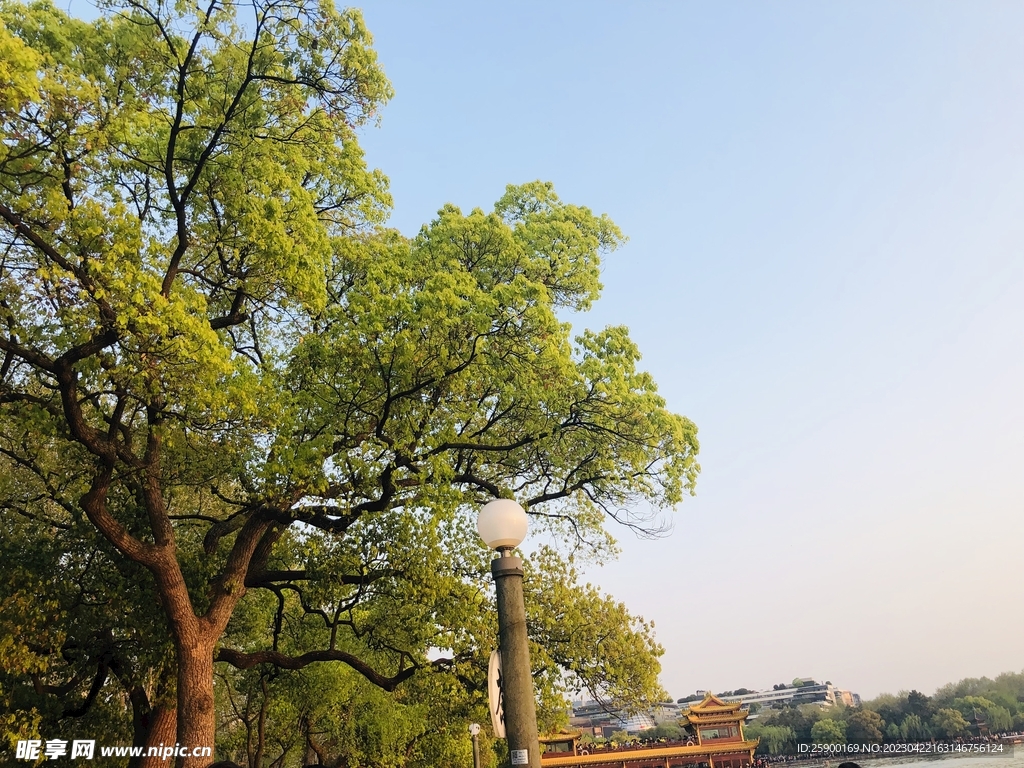 西湖