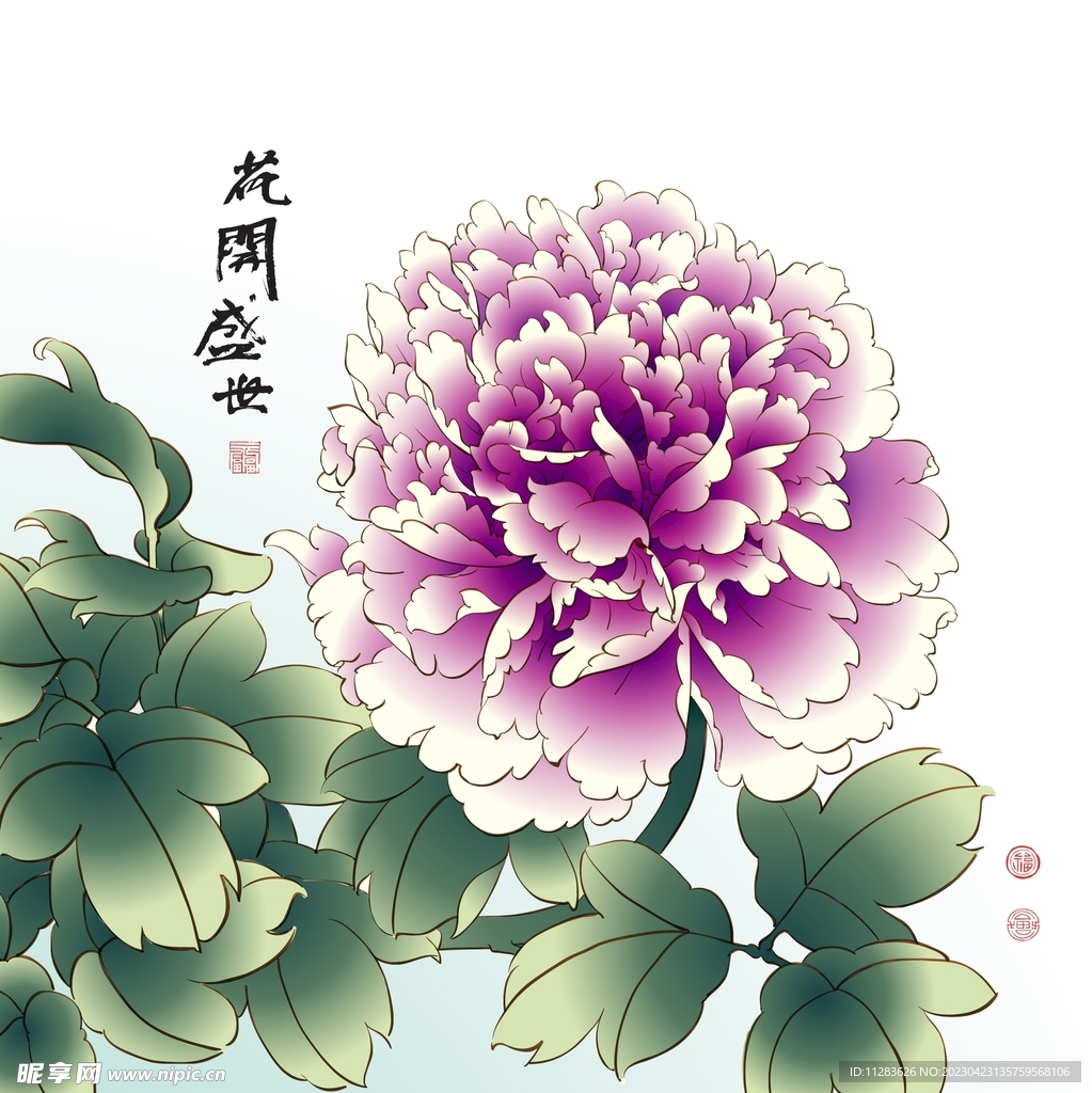 牡丹插画