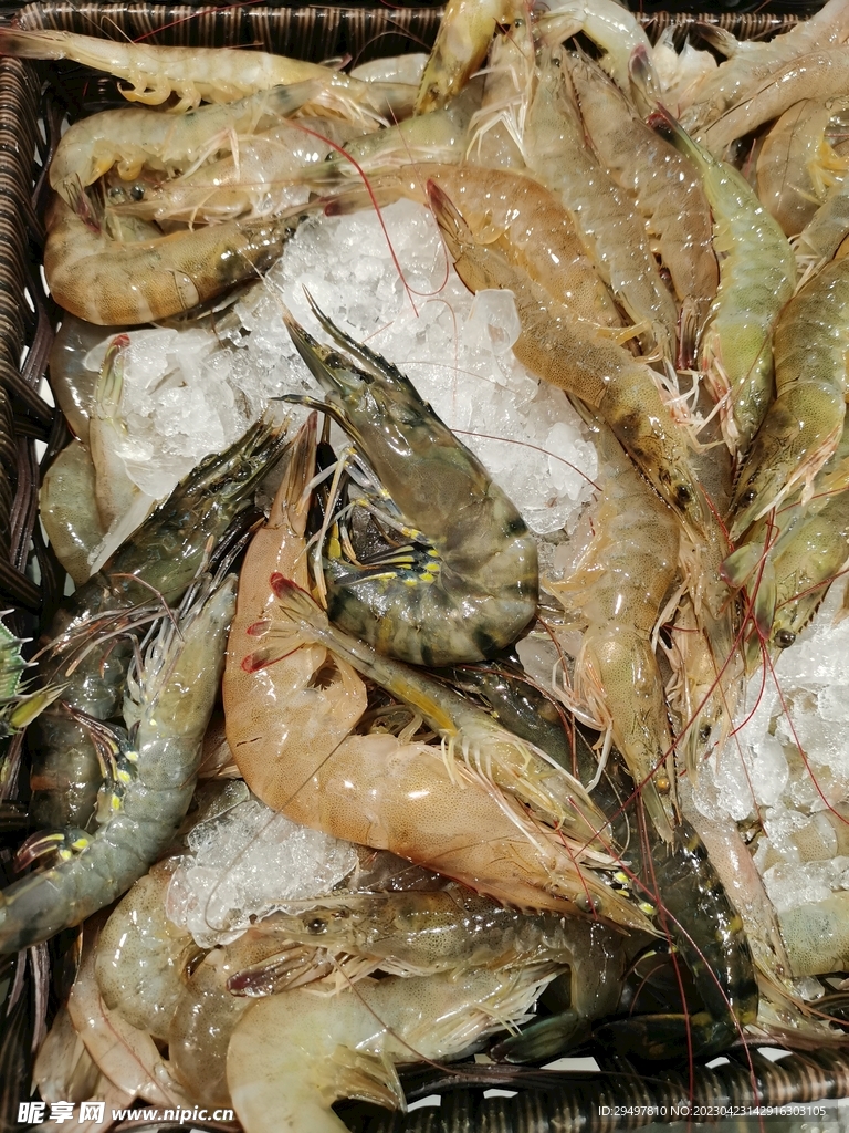 冰鲜虾