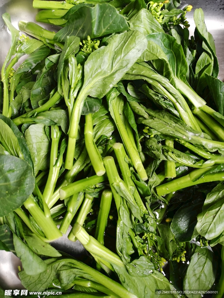 菜心