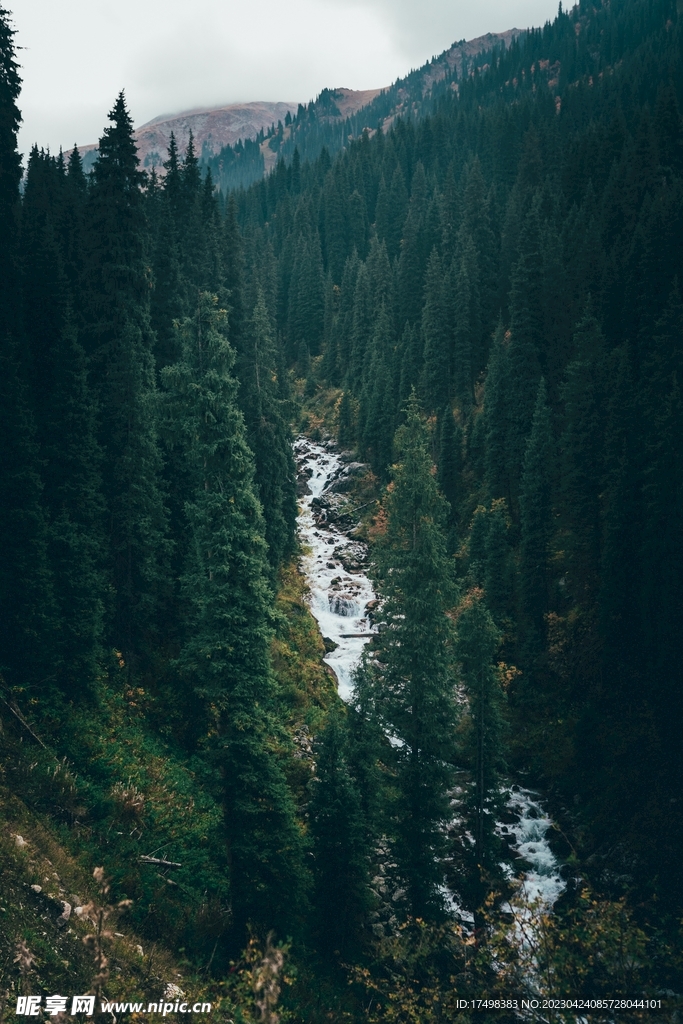 溪流山间绕