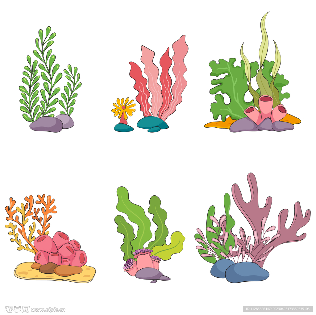 水草插画