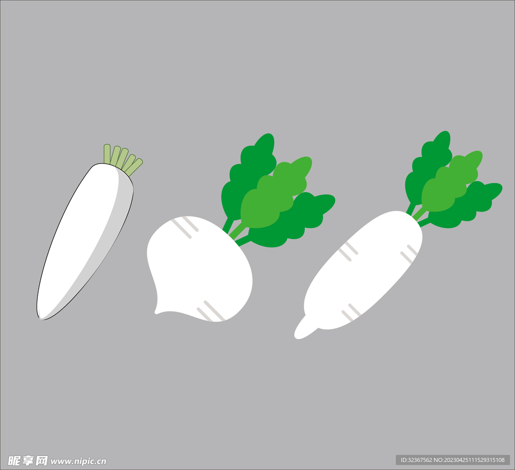  萝卜插画