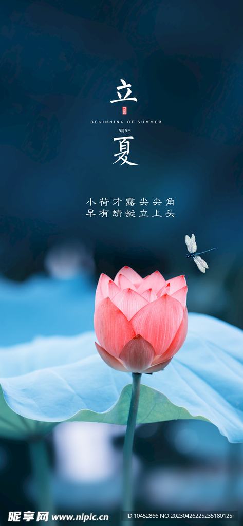 立夏