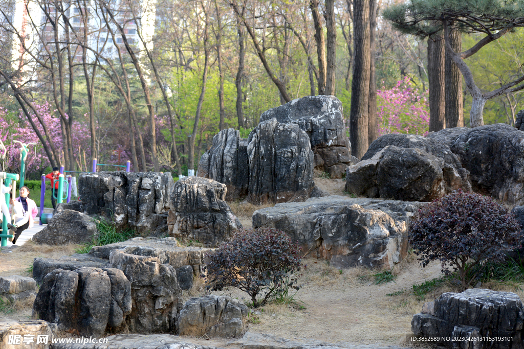 假山风景石