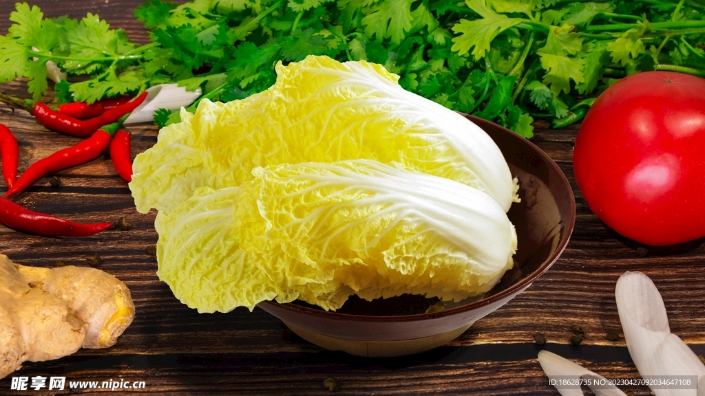 娃娃菜