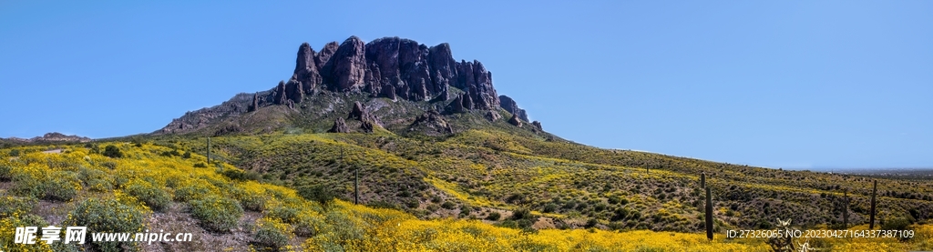  山林