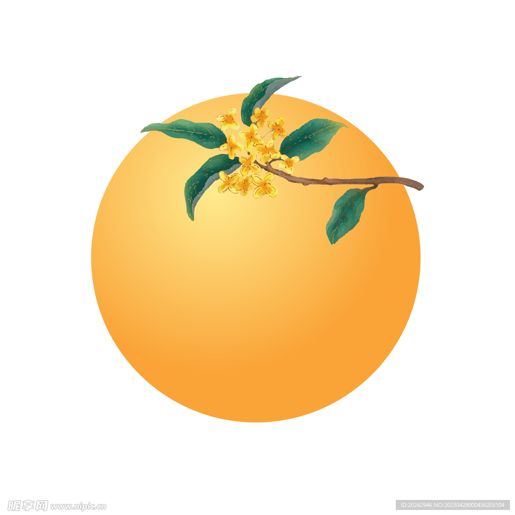 中秋节桂花