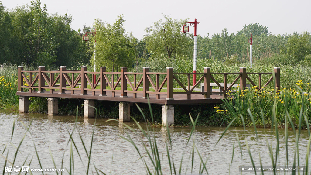 公园风景