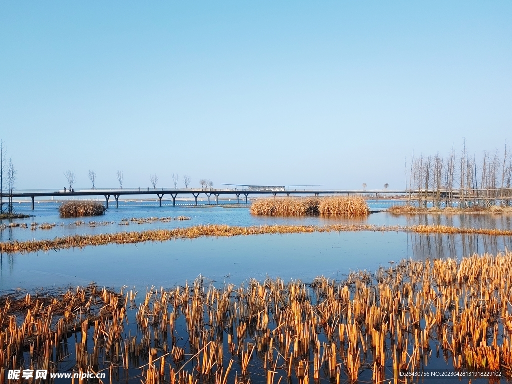 跨湖大桥远景