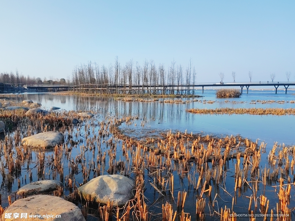 大桥远景
