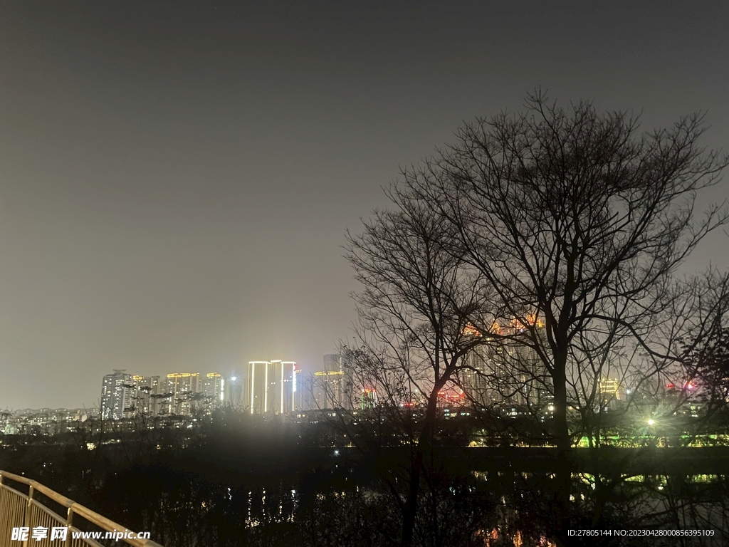 夜间树木