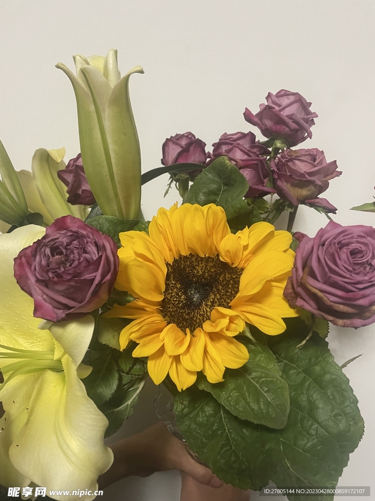 向日葵与紫玫瑰花