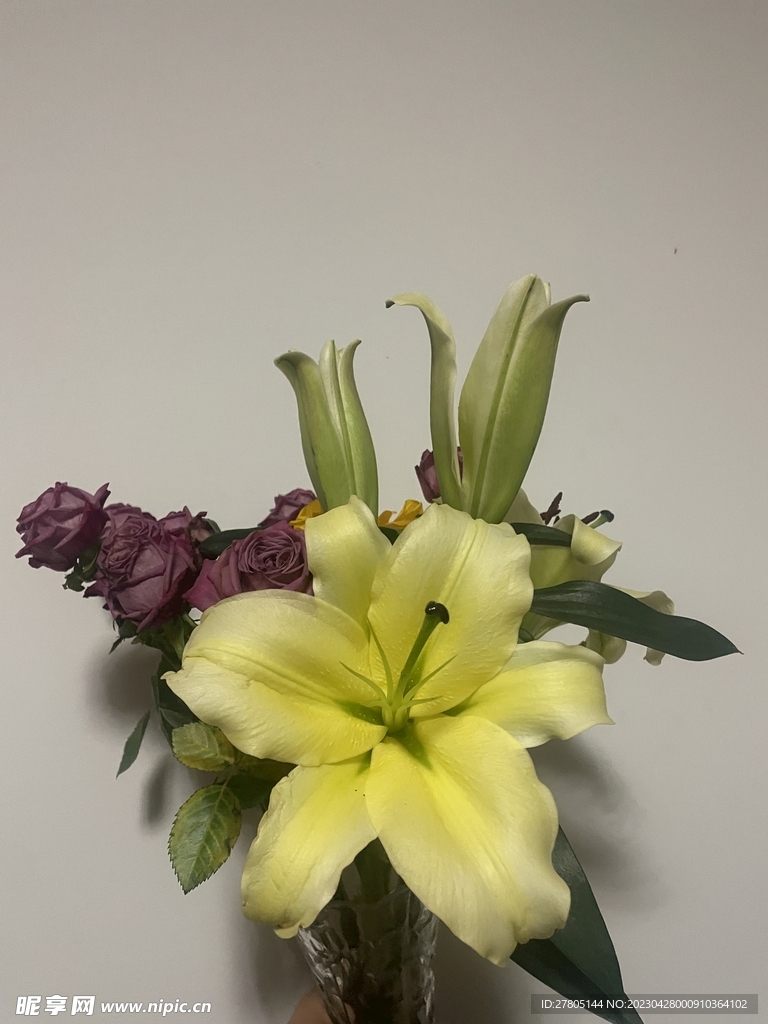 白百合花