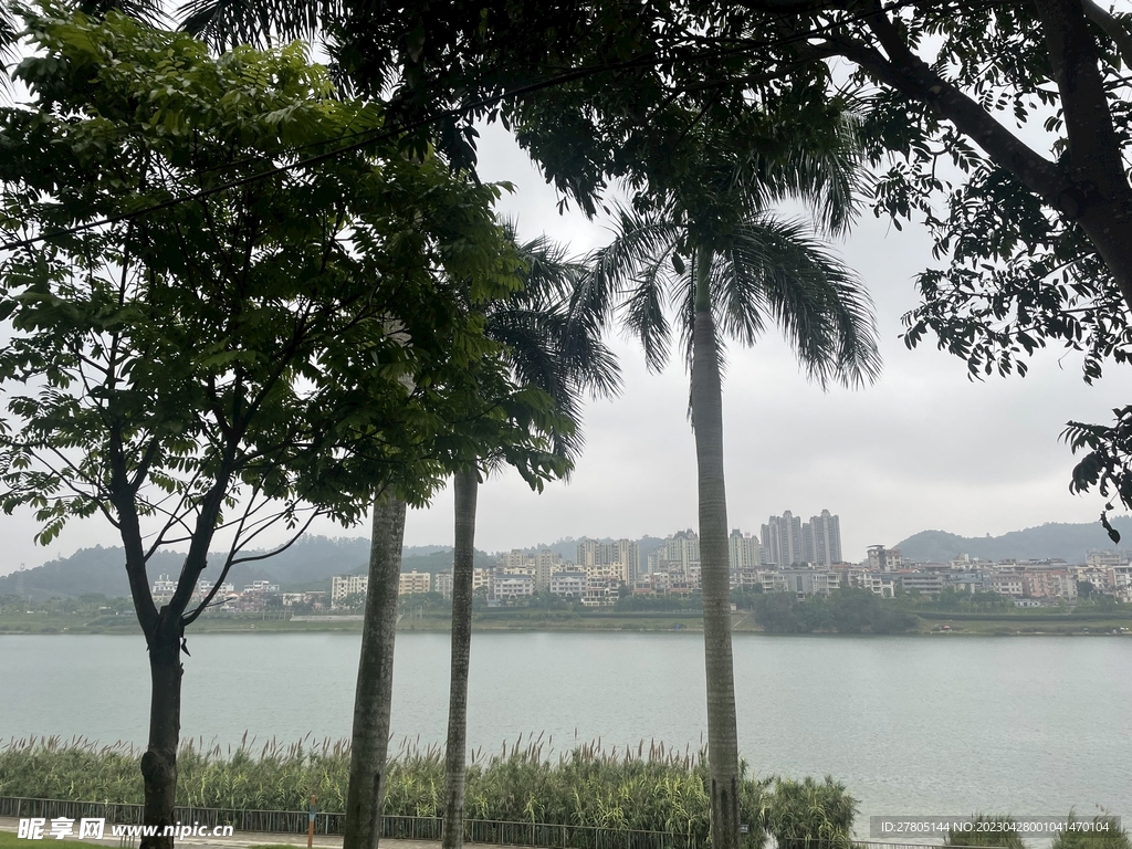 风景