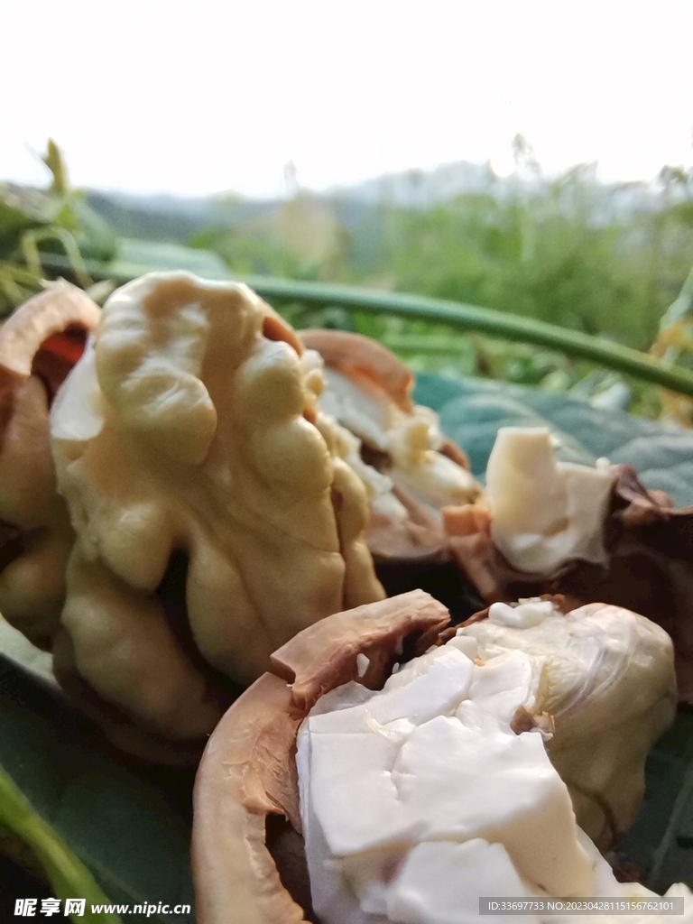 核桃仁