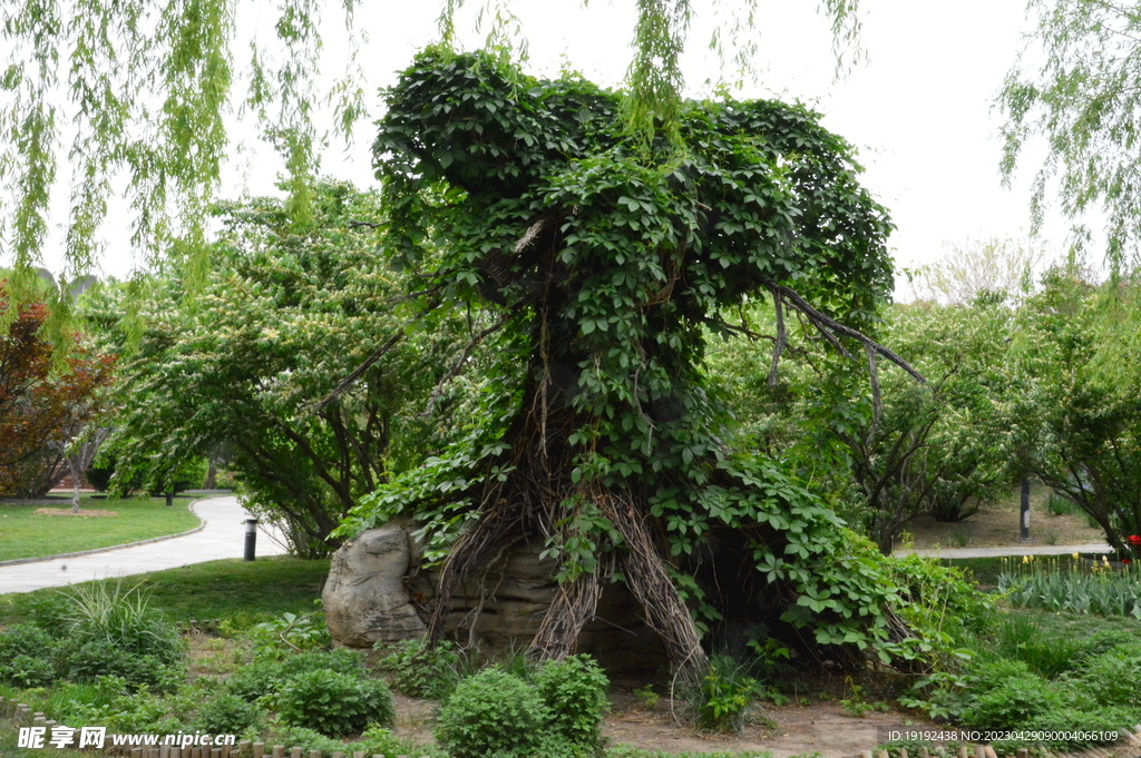 公园风景 