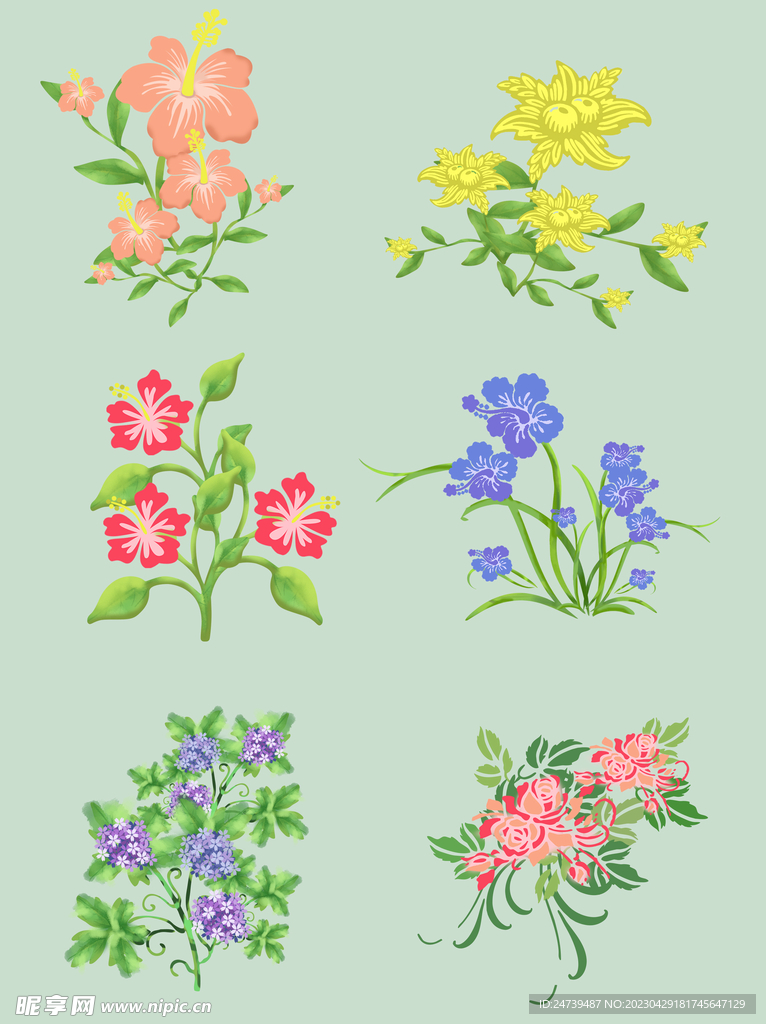 花朵
