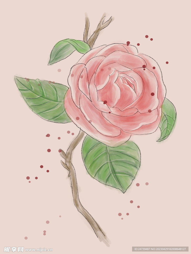 山茶花
