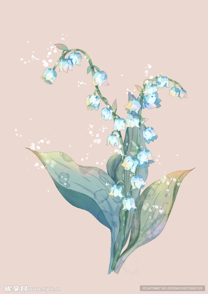 铃兰