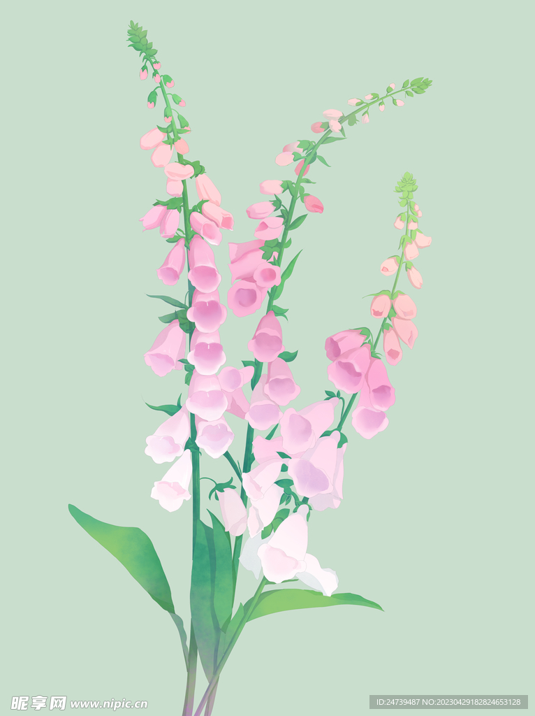 铃兰