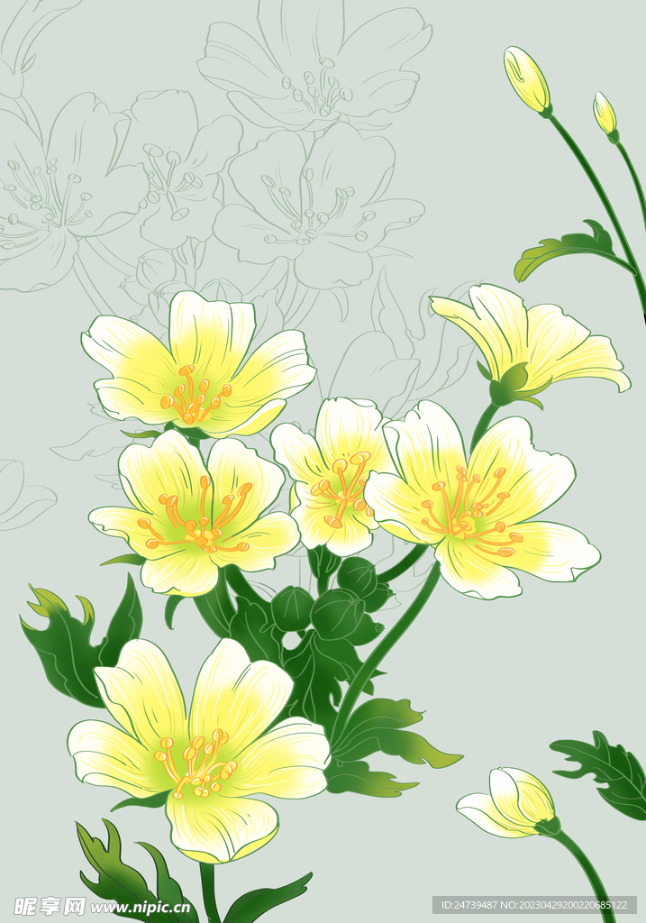 白池花