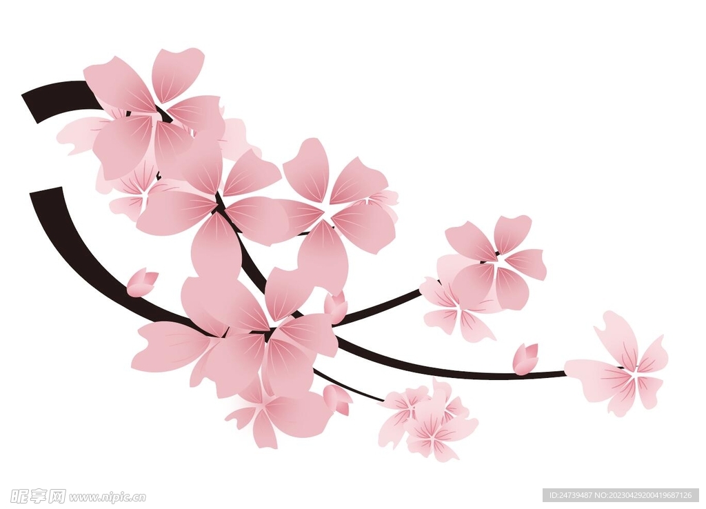 桃花